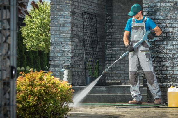 Best Solar Panel Cleaning  in Reform, AL